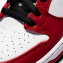 Dunk Low Pro SB "Chicago"