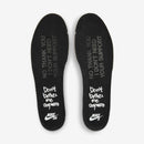 SB Dunk Low "Wasted Youth"