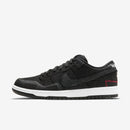 SB Dunk Low "Wasted Youth"