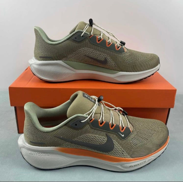 Tenis Nike pegasus 41