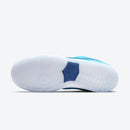 SB Dunk Low "Blue Fury"