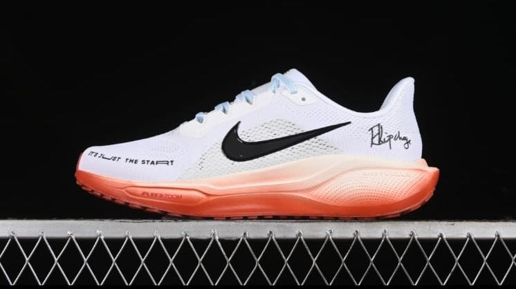 Tenis Nike pegasus 41