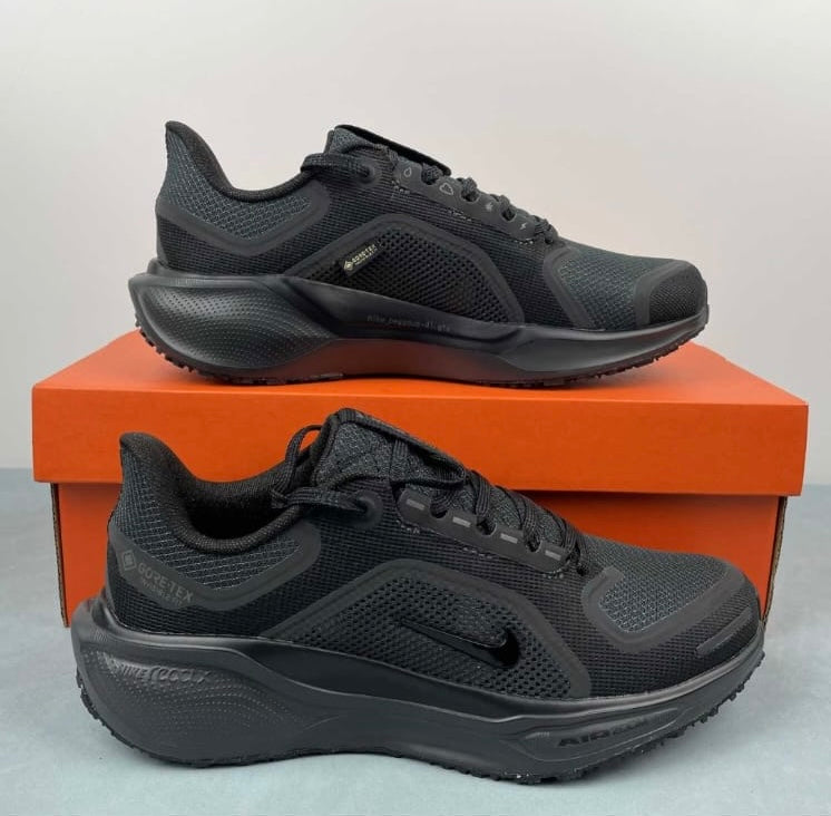 Tenis Nike pegasus 41