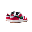 SB Dunk Low "Frame Skate Habibi"