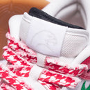 SB Dunk Low "Frame Skate Habibi"