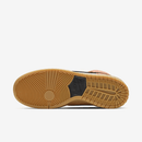 SB Dunk High Pro "Spectrum"