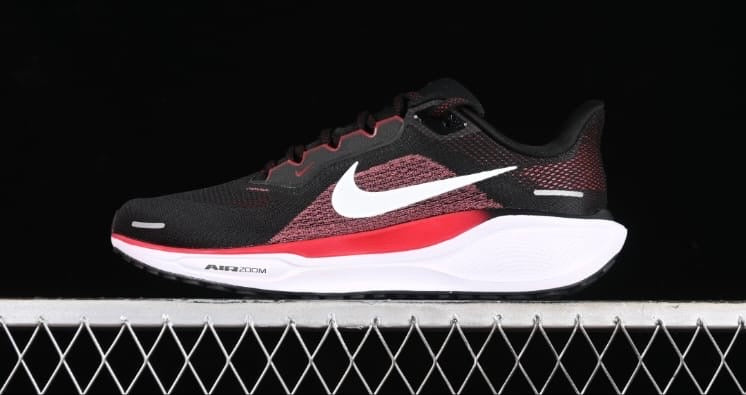 Tenis Nike pegasus 41