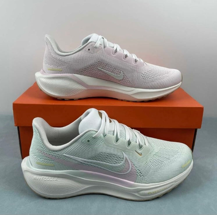 Tenis Nike pegasus 41