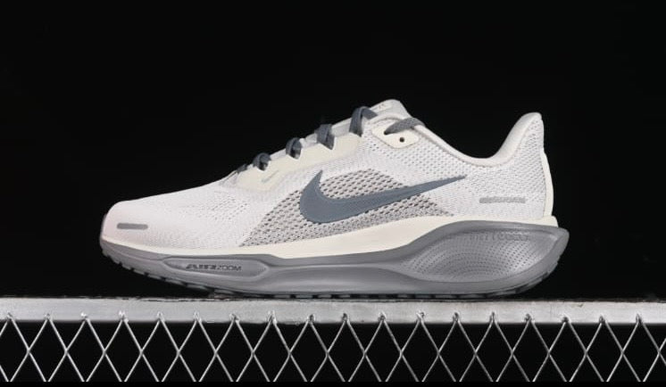 Tenis Nike pegasus 41