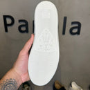 Ayers Kingsnake Branco