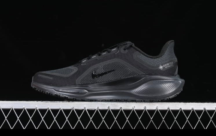 Tenis Nike pegasus 41