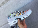 Air Max Plus Drift "Light Smoke Grey"