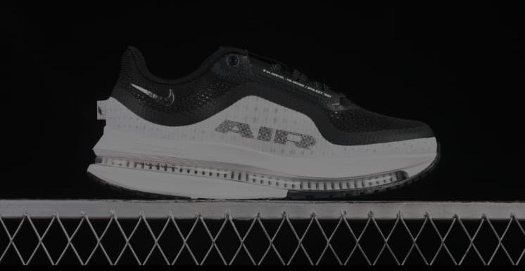 Tenis pegasus premium
