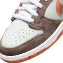 SB Dunk Low x "Crushed Skate Shope"
