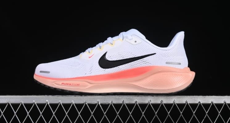 Tenis Nike pegasus 41