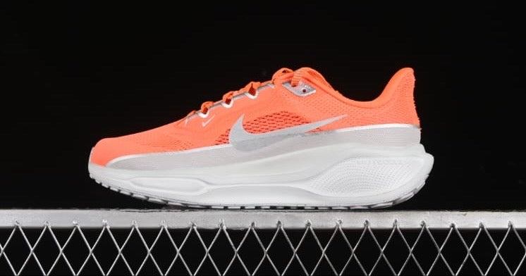 Tenis Nike pegasus 41