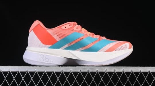 Tenis Boston 13