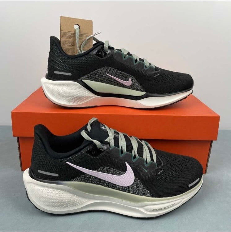 Tenis Nike pegasus 41