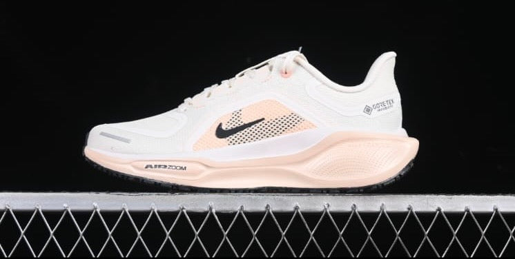 Tenis Nike pegasus 41