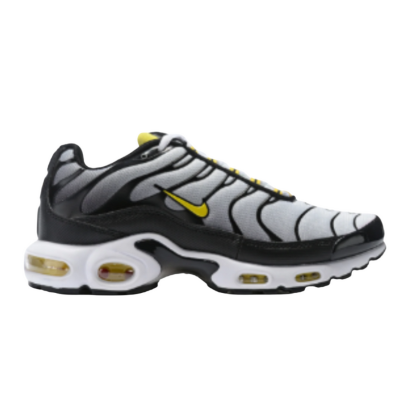 Air Max plus TN