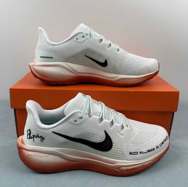 Tenis Nike pegasus 41
