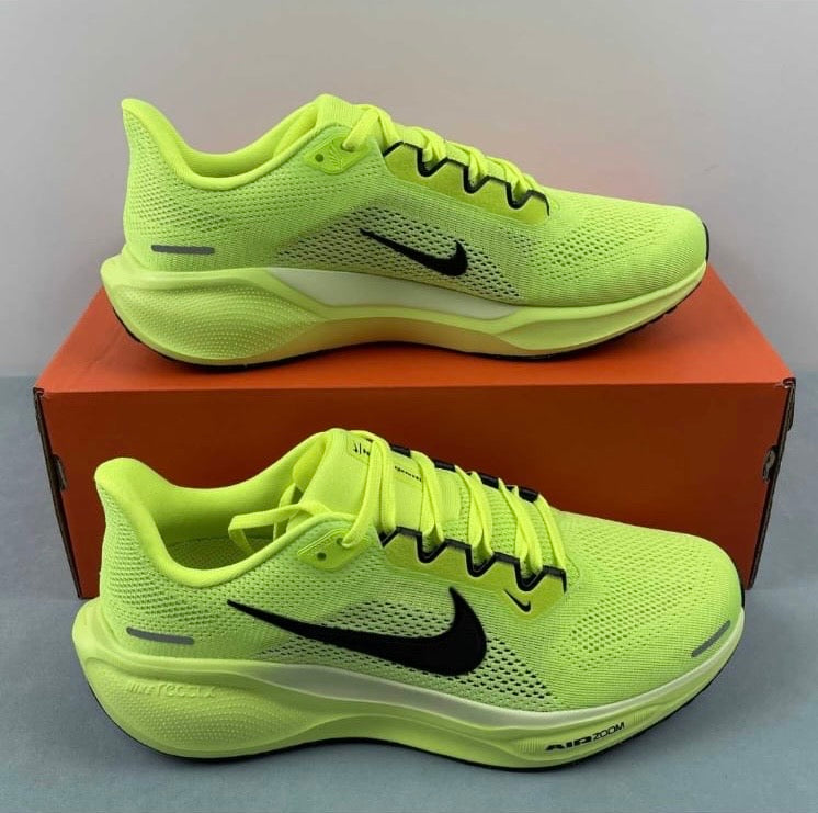 Tenis Nike pegasus 41